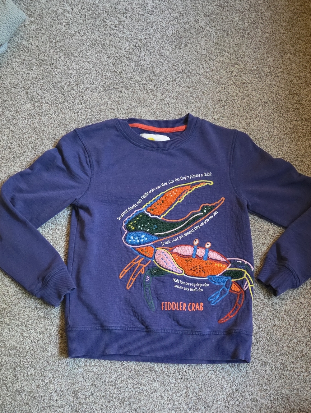 Mini Boden Navy Crewneck Sweater with Colorful Crab Graphic